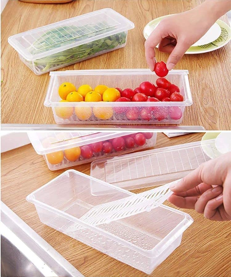 FISH VEGETABLE STORAGE CONTAINER (1 PIS) - Image 4
