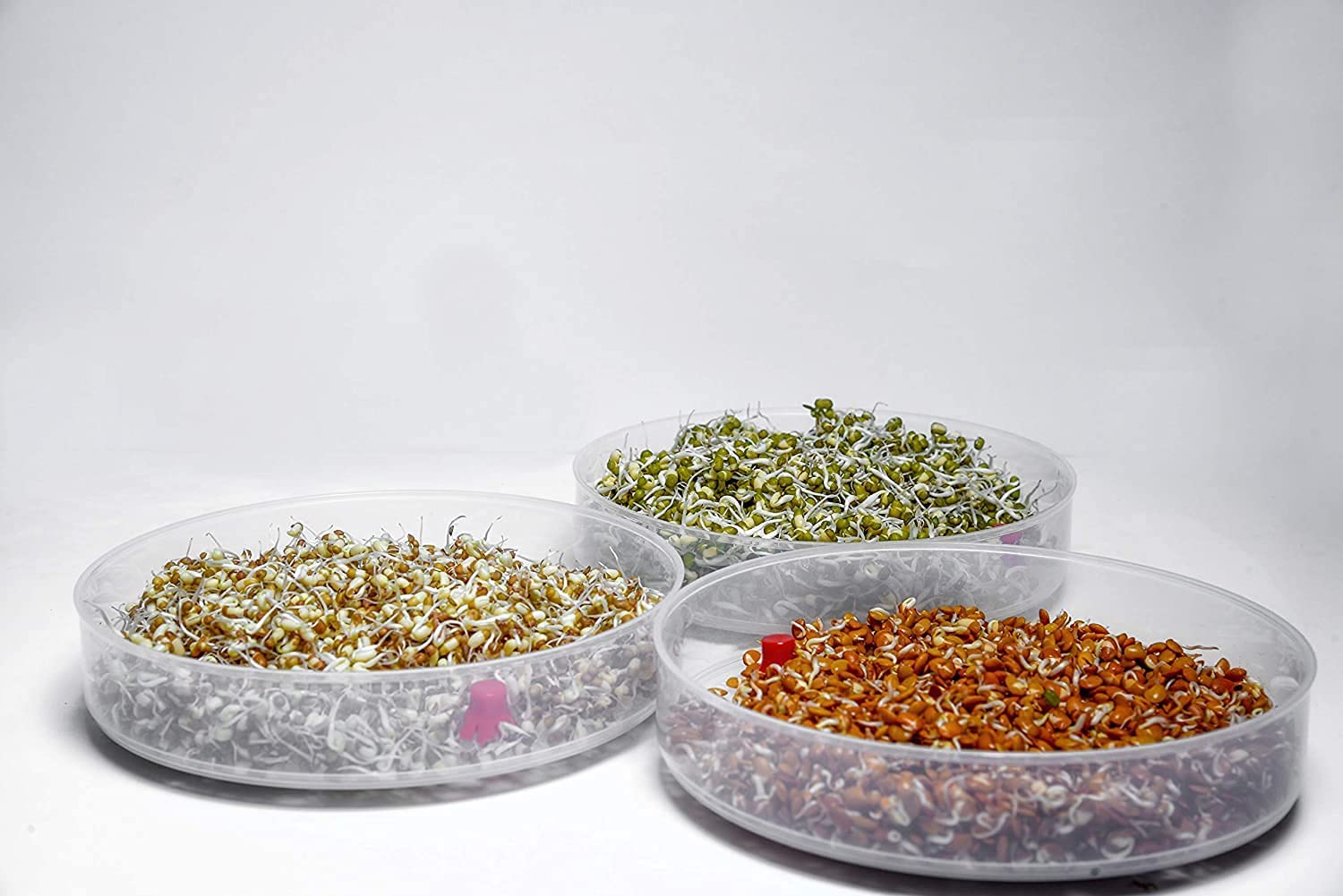 4 LAYER SPROUT MAKER - Image 5